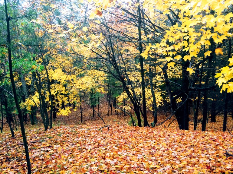 fullsizerender281229